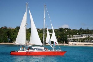 Activity Bookings